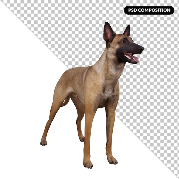 PSD amico del cane isolato 3d