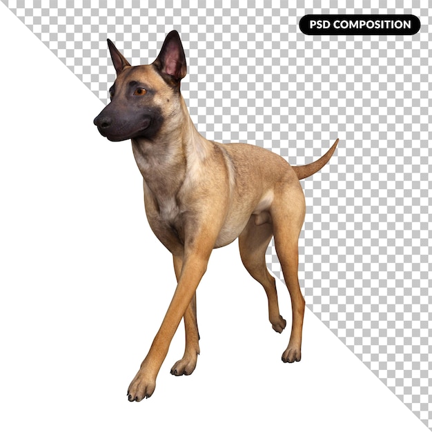 PSD amico del cane isolato 3d