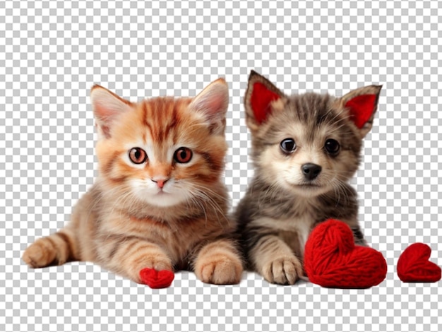 PSD dog and ginger cat png