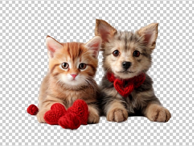 PSD dog and ginger cat png
