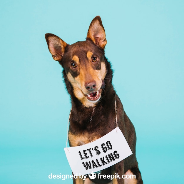 Dog mockup with signage