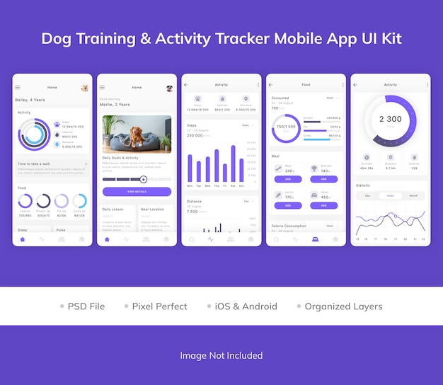 Комплект пользовательского интерфейса мобильного приложения для дрессировки и отслеживания активности собак