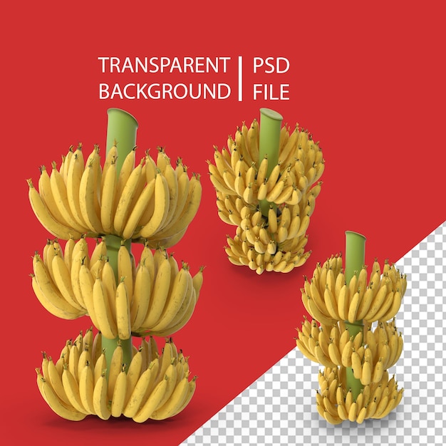 Dojrzały żółty bananowy klaster PNG