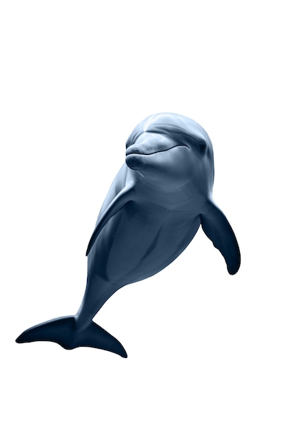 Dolphin isolated figure