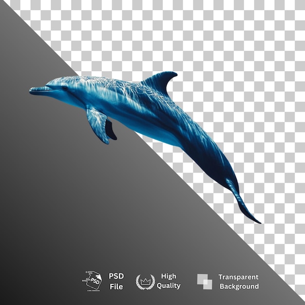 dolphin isolated on transparent background
