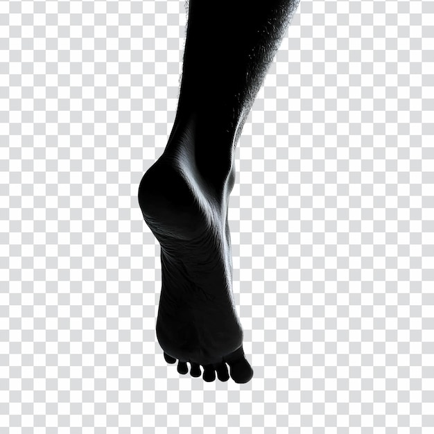 Donkere monochrome menselijke voet anatomie hiel boog tenen silhouet