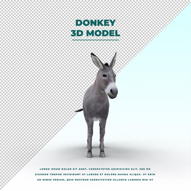 PSD donkey