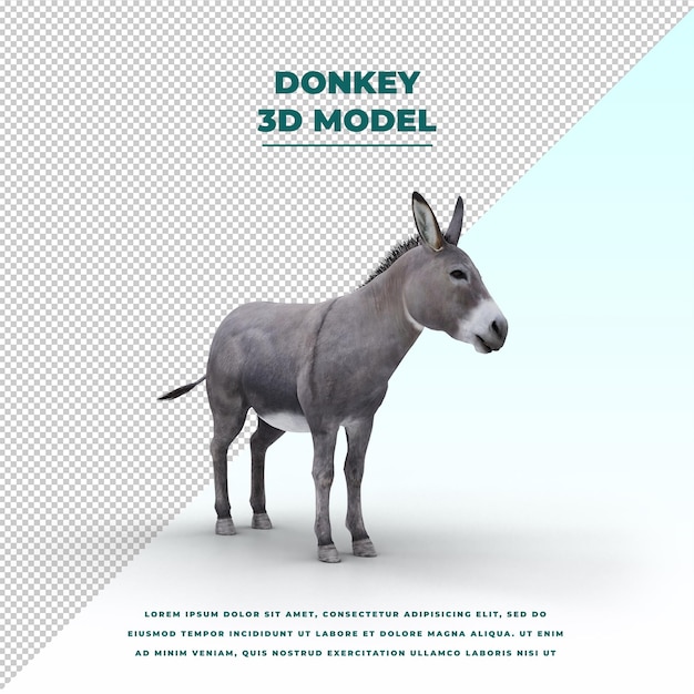 PSD donkey