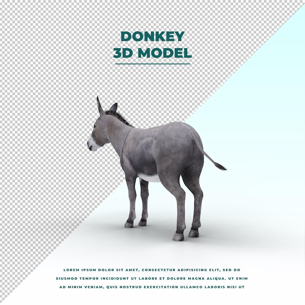 PSD donkey