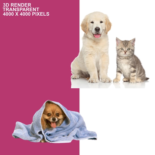 doorzichtige achtergrond voor hond en kat