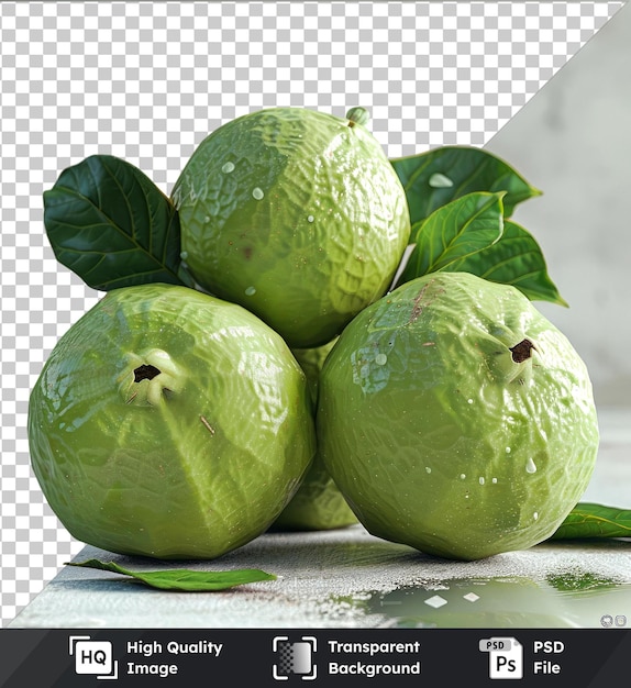 PSD doorzichtige premium psd foto guava vruchten en groene bladeren op een doorzichtige achtergrond tegen een grijze muur