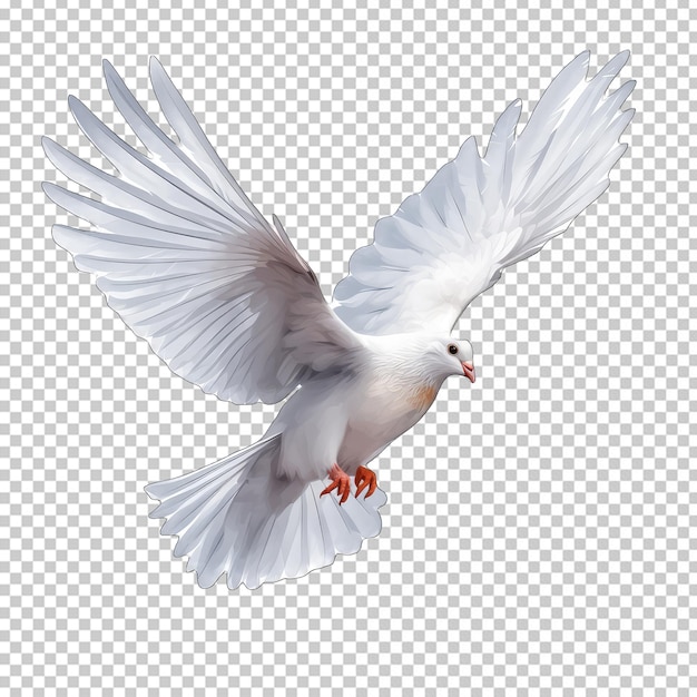 PSD dove isolated on transparent background