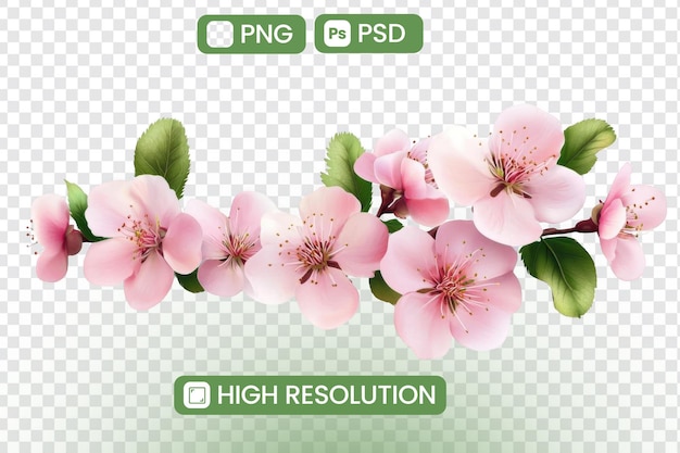 下載高分辨率的粉紅花 PNG 和 PSD 春季花枝圖像 完美的設計網站和項目 自然 鮮<unk>的細節美麗 一種微妙的春季主題