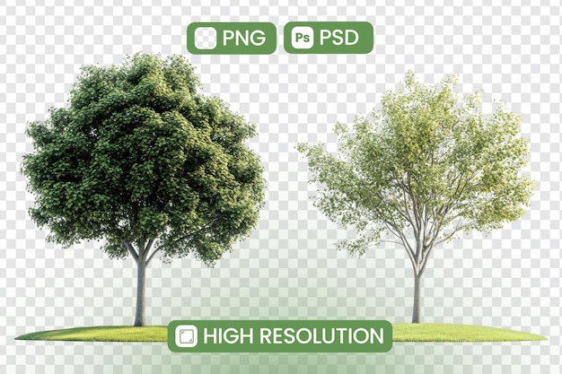 download highresolution png and psd files of lush green trees perfect for landscaping designs and digital compositions adding natures beauty to your projects effortlessly