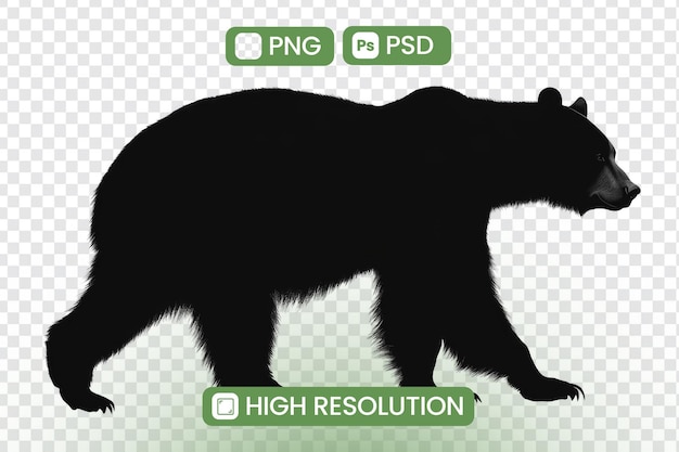 downloadable highresolution bear silhouette png and psd formats perfect for design projects graphic resources and creative applications explore the majestic beauty of nature with this striking image