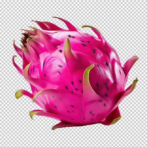 PSD dragon fruit on white background