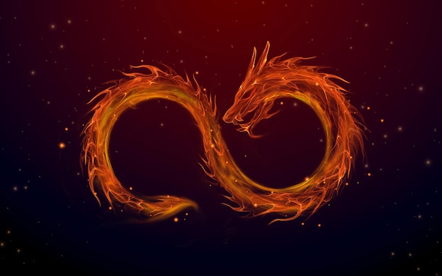 PSD dragon in an infinity shape