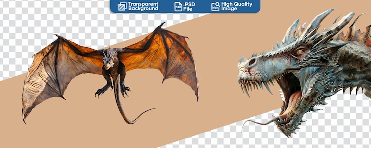 PSD dragon set in close up full body and flying