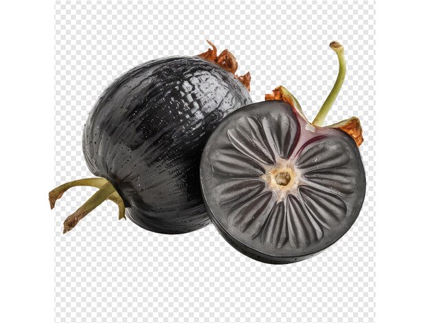 PSD a drawing of a black onion and a half of a beet