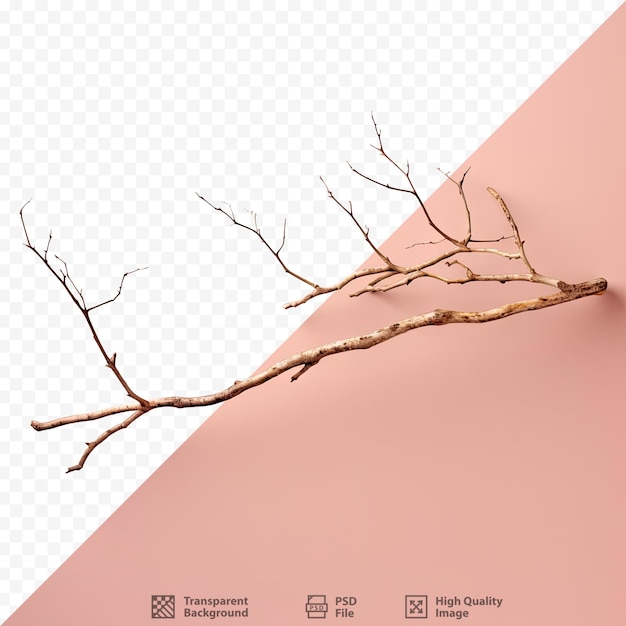 A drawing of a branch with a pink background with a picture of a branch that says 