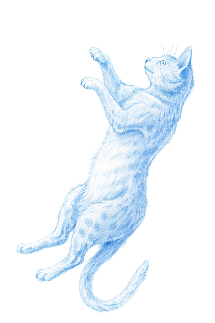 PSD 파란색과 색의 고양이의 그림