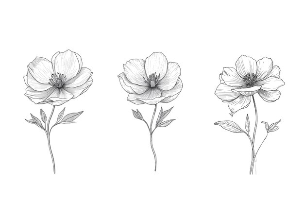 PSD a drawing of flowers