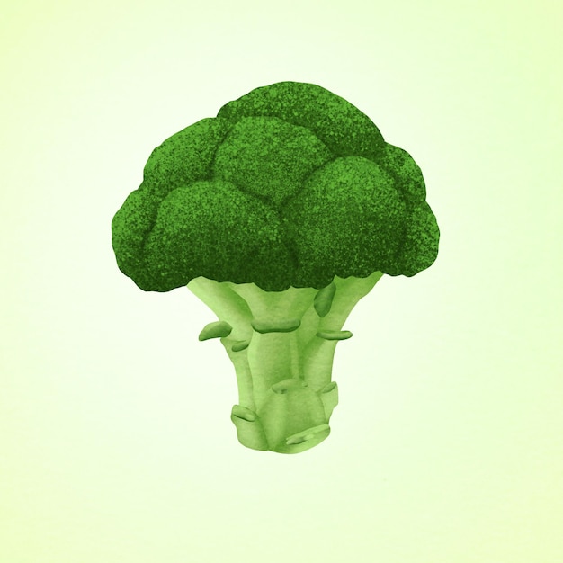 PSD a drawing of green piece of fresh broccoli