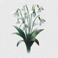 PSD a drawing of a lily of the valley of lily of the valley