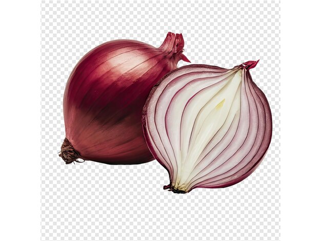 PSD a drawing of a onion and a half of onion