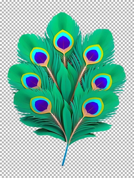 PSD a drawing of a peacock with a multicolored feather on it