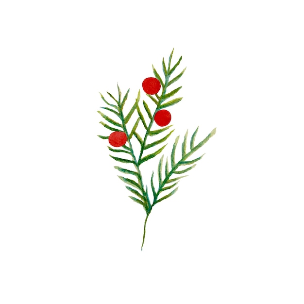緑の葉を持つ植物の絵