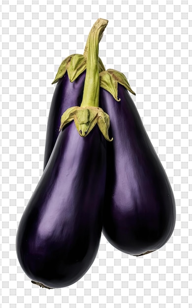 PSD a drawing of a purple eggplant with a green stem