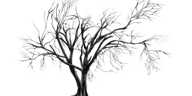 PSD a drawing of a tree with no leaves on it