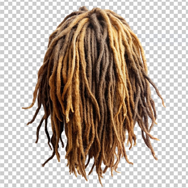 PSD dreadlock on transparent background