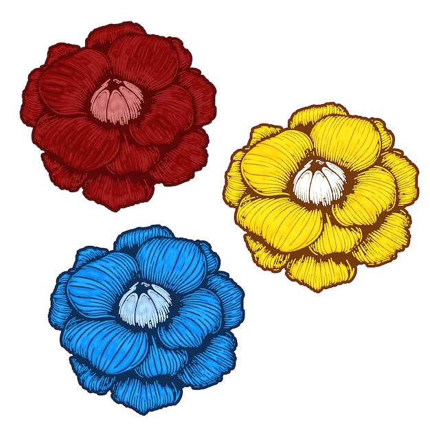 Drie camellia bloemen