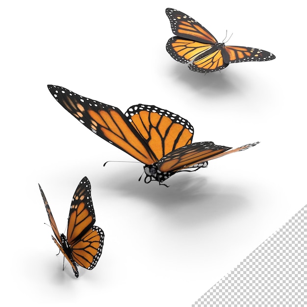 Drie monarchvlinders in vlucht