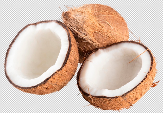 Dried coconut fruit cut with transparent background png