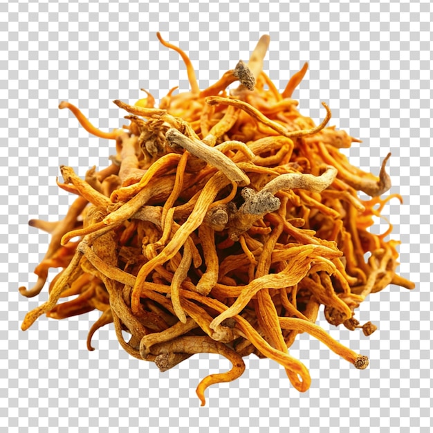 PSD dried cordyceps militaris mushroom isolated on transparent background