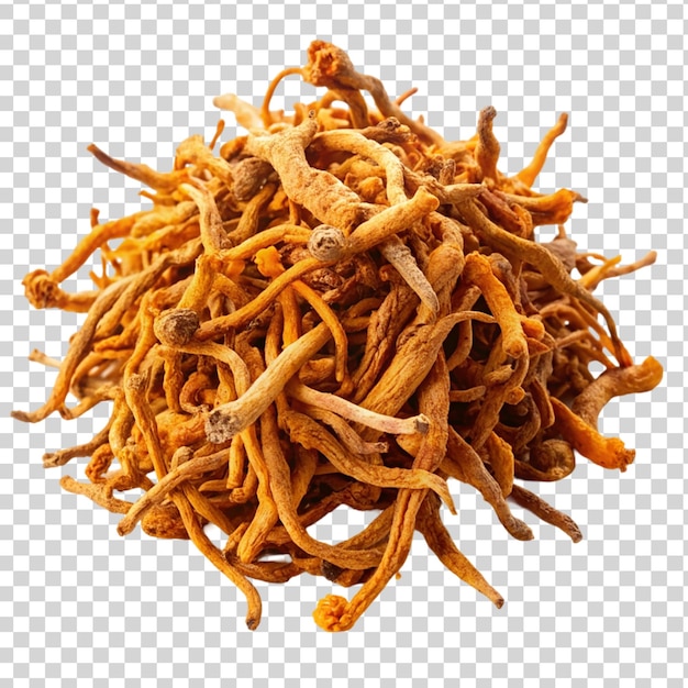 PSD dried cordyceps militaris mushroom isolated on transparent background