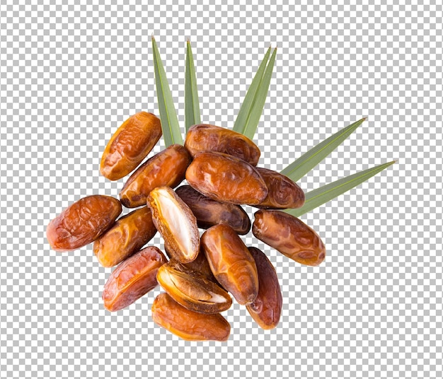 Dried date palm with leaf isolated on alpha layer