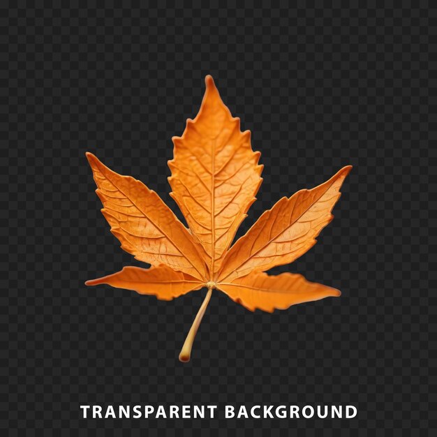 PSD dried leaf isolated on transparent background