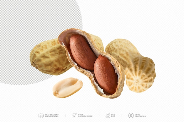 Dried peanuts in peel closeup on transparent background PSD
