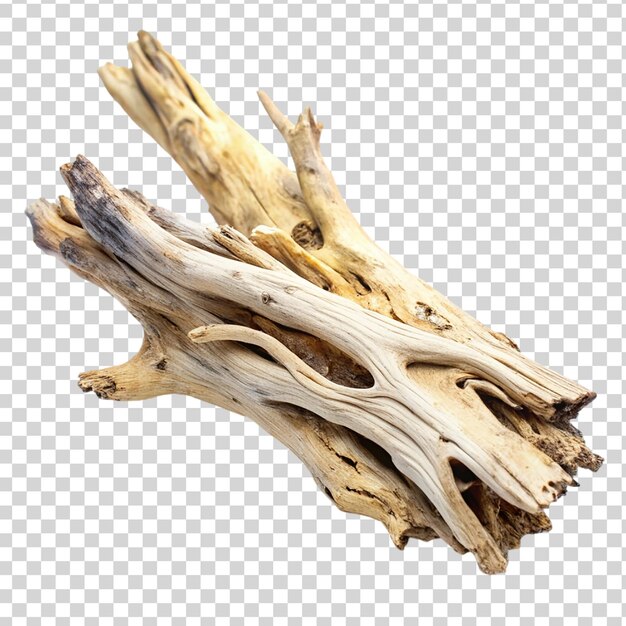 PSD driftwood isolated on transparent background