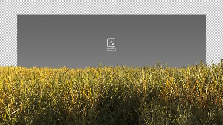droog grasveld geel en groen wild gras geïsoleerd