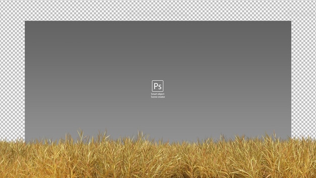droog grasveld geïsoleerd droog gras uitknippad geel gras