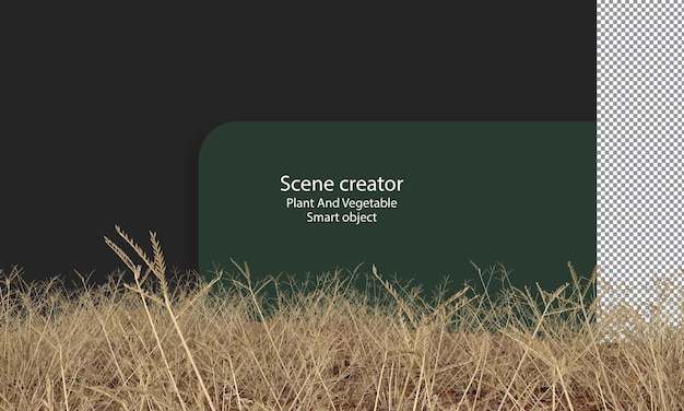 PSD Поле сухой травы изолировано, дорожка для обрезки сухой травы