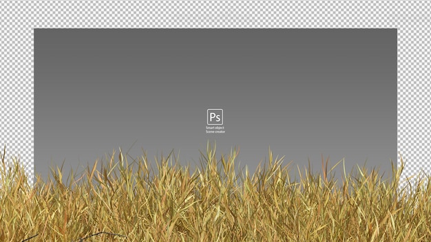 PSD dry grass field isolated dry grass clipping path yellow grass