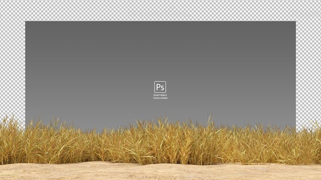 PSD dry grass field isolated dry grass clipping path yellow grass