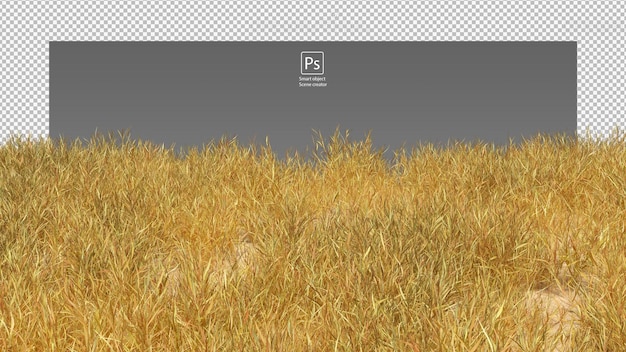 PSD Сухая трава поле желтый и зеленый дикая трава изолированные