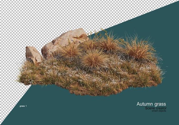 Dry grass garden in autumn